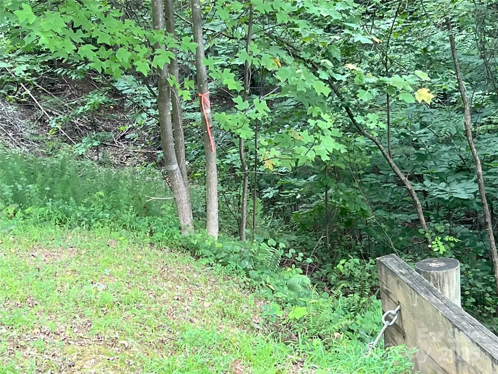 00 Deep Gap Road E Mill Spring NC 28756