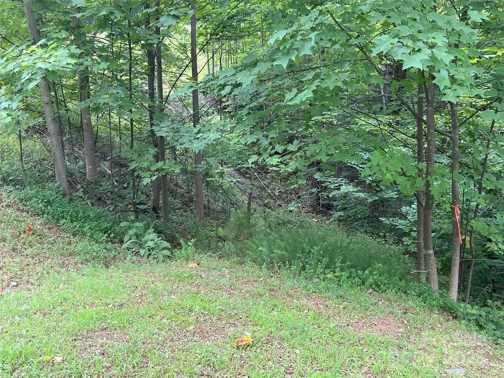 00 Deep Gap Road E Mill Spring NC 28756