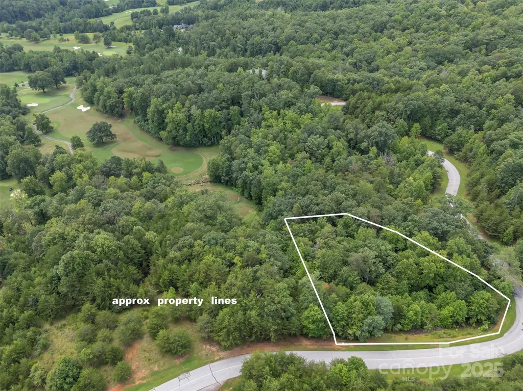 00 Deep Gap Road E Mill Spring NC 28756