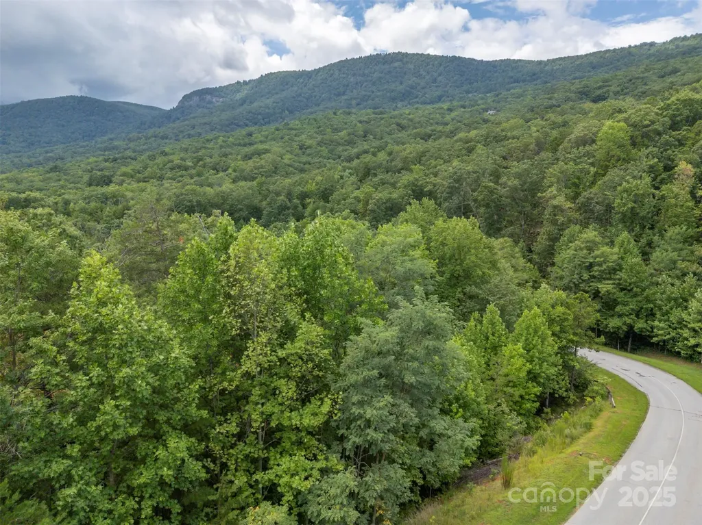 00 Deep Gap Road E Mill Spring NC 28756