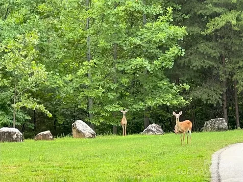00 Deep Gap Road E Mill Spring NC 28756