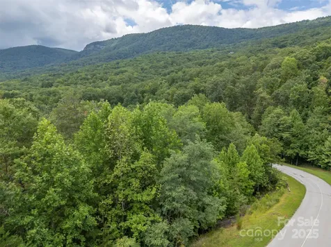 00 Deep Gap Road E Mill Spring NC 28756