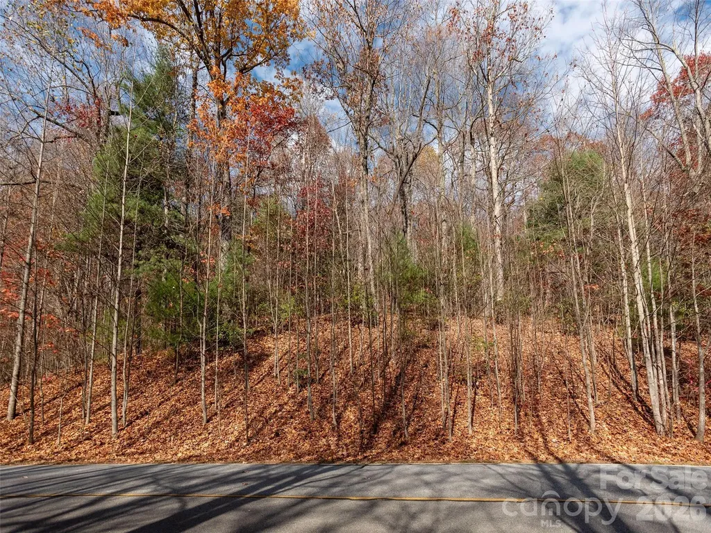 128 Pinnacle Peak Lane Flat Rock NC 28731