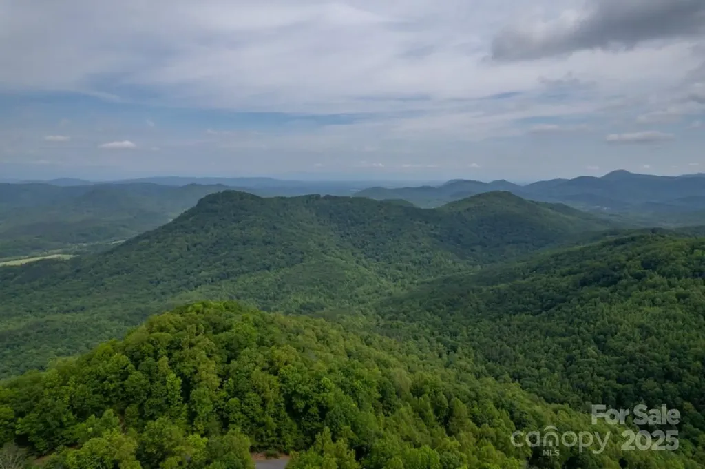 186 Black Ridge Drive Bostic NC 28018