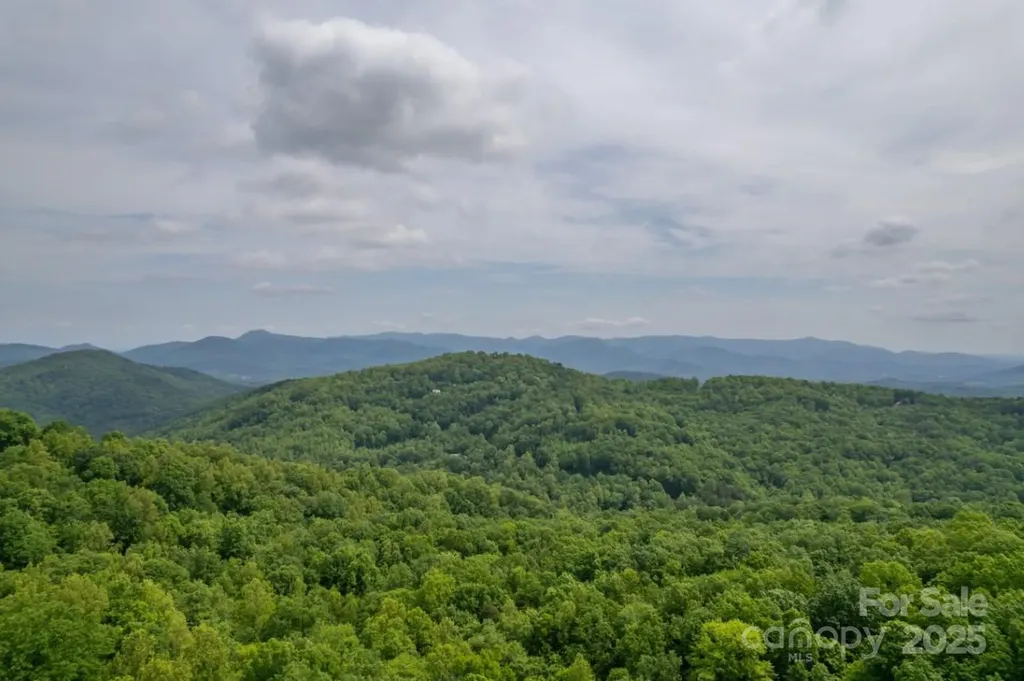 186 Black Ridge Drive Bostic NC 28018