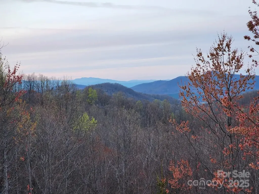 186 Black Ridge Drive Bostic NC 28018