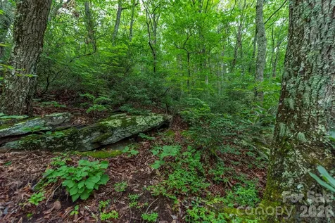 Tbd Summer Haven Road Swannanoa NC 28778