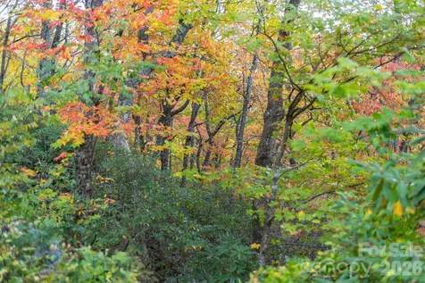 Tbd Summer Haven Road Swannanoa NC 28778