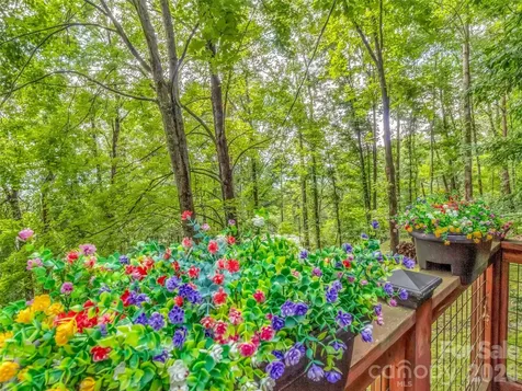 346 Wendy Way Clyde NC 28721