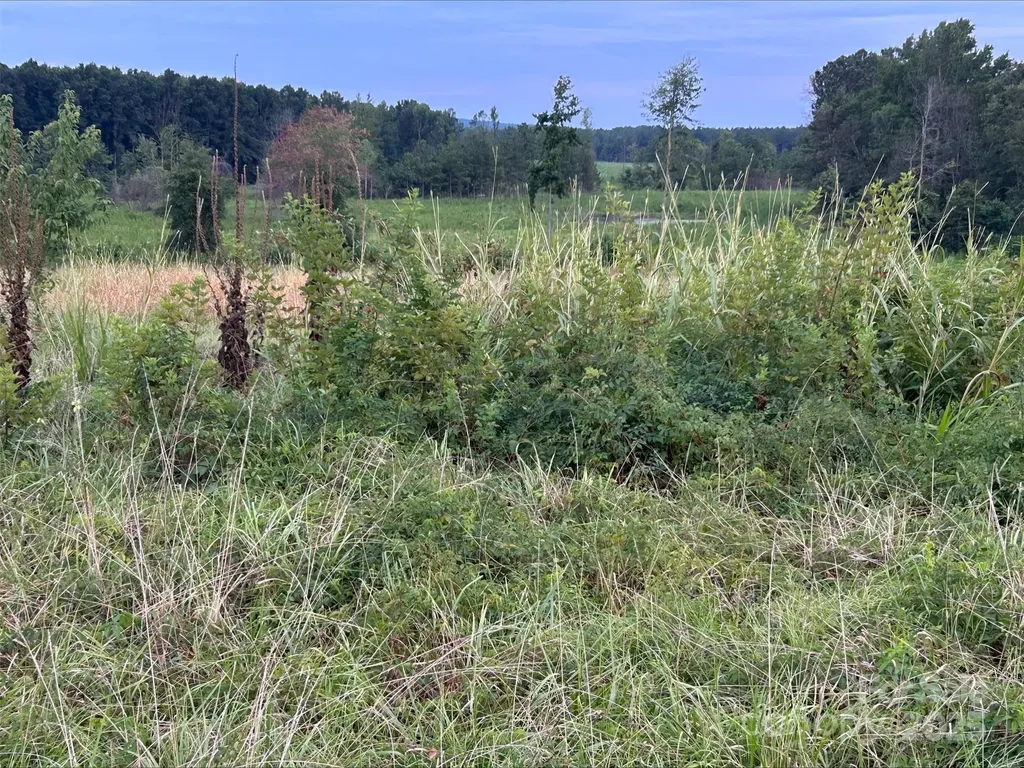 2085 W Hwy 73 Highway Mount Gilead NC 27306