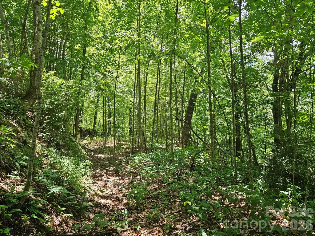 99999 Maplewood Drive Maggie Valley NC 28751