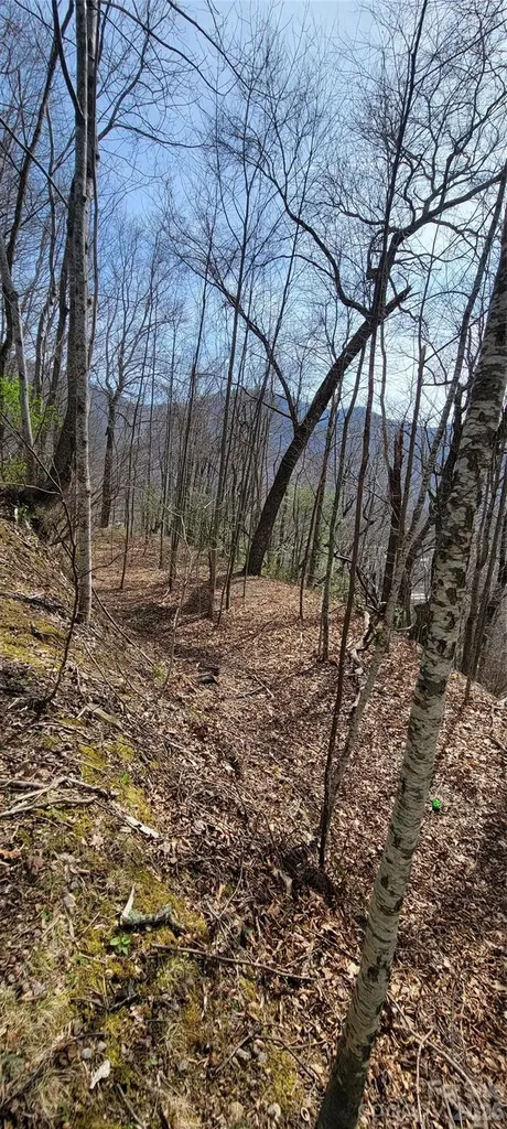 99999 Maplewood Drive Maggie Valley NC 28751