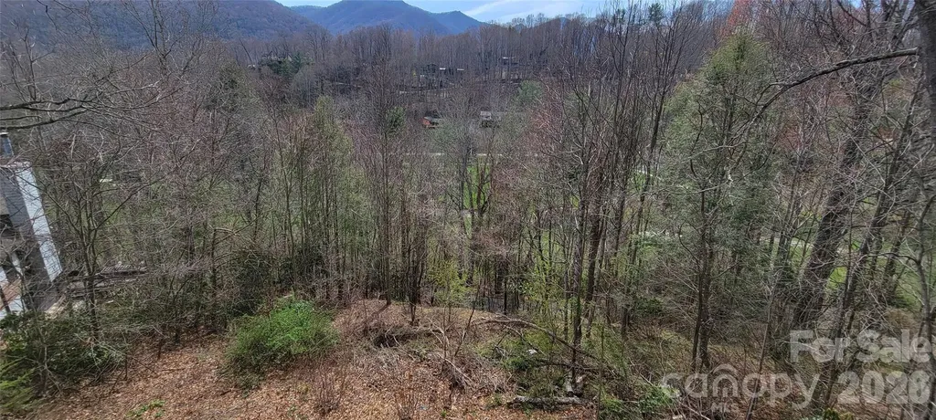 99999 Maplewood Drive Maggie Valley NC 28751
