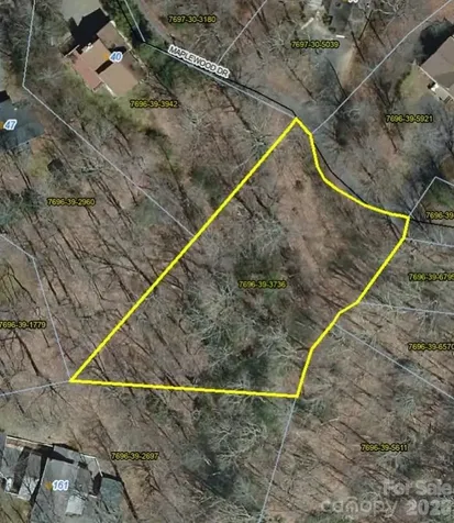99999 Maplewood Drive Maggie Valley NC 28751