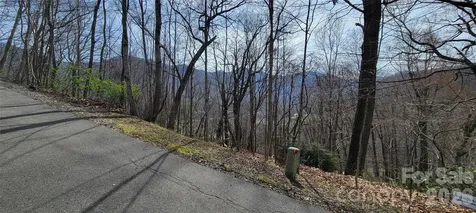 99999 Maplewood Drive Maggie Valley NC 28751