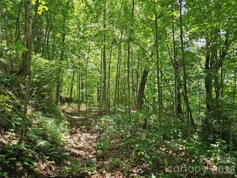 99999 Maplewood Drive Maggie Valley NC 28751