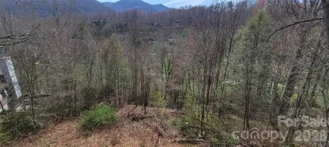99999 Maplewood Drive Maggie Valley NC 28751
