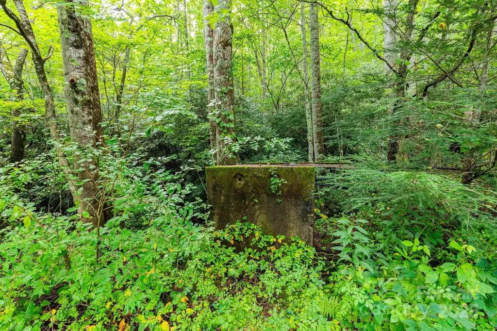 99999 Rock Creek Road Burnsville NC 28714