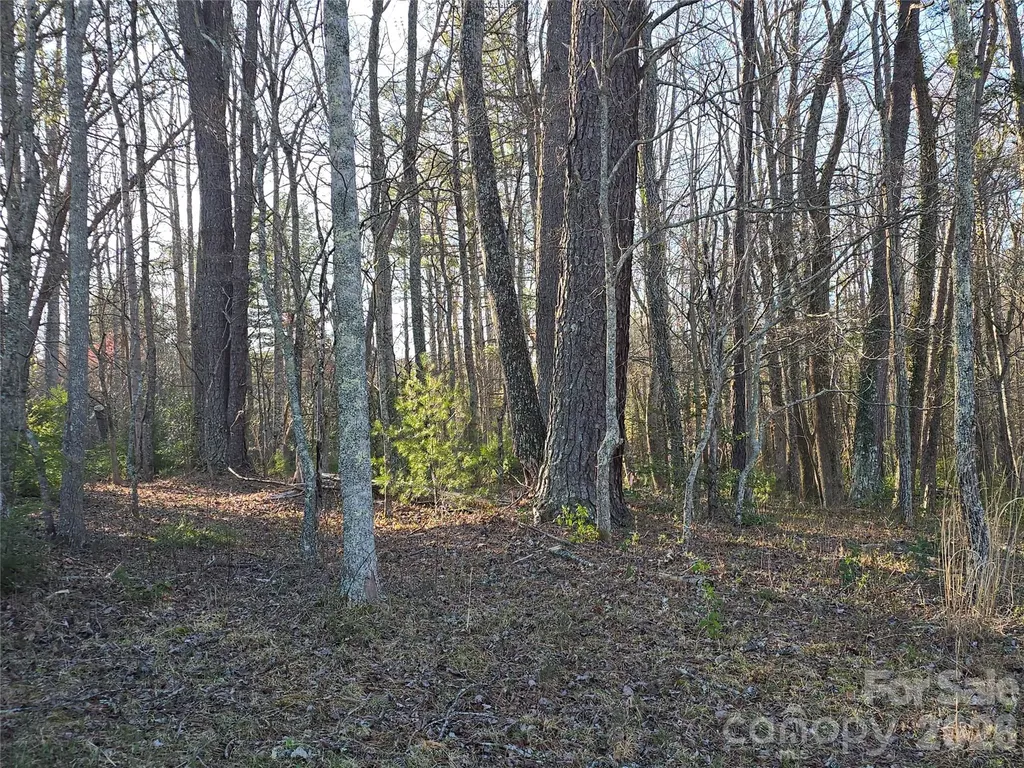 117 Woods View Trail Fairview NC 28730