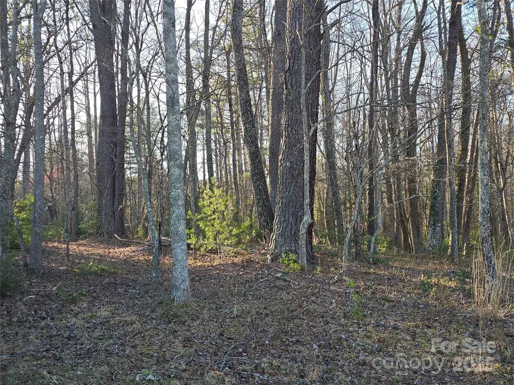 117 Woods View Trail Fairview NC 28730