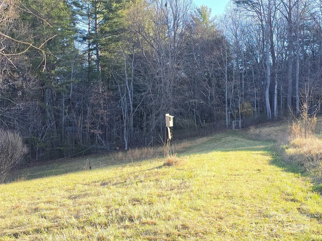 117 Woods View Trail Fairview NC 28730