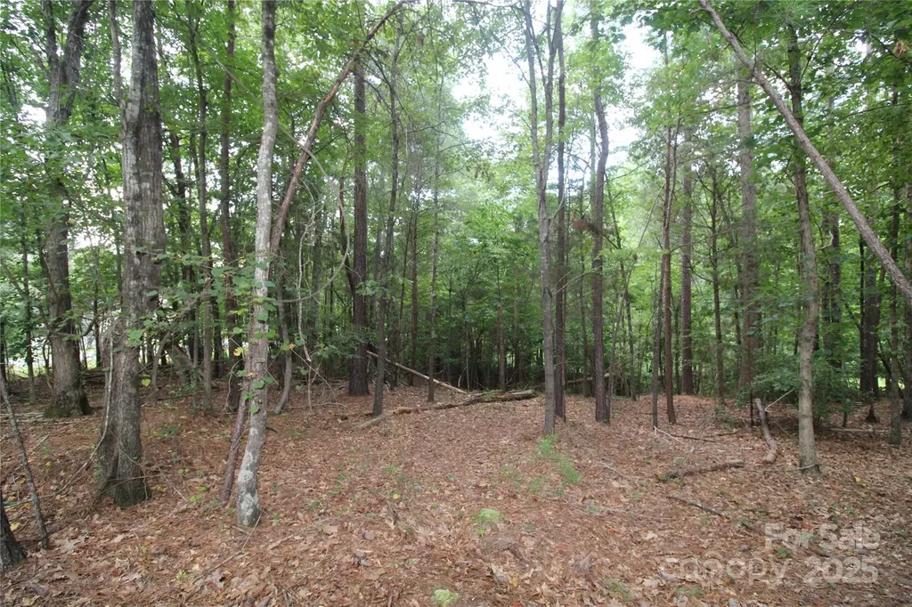 Lot 1 Lake Wylie Drive Rock Hill SC 29732