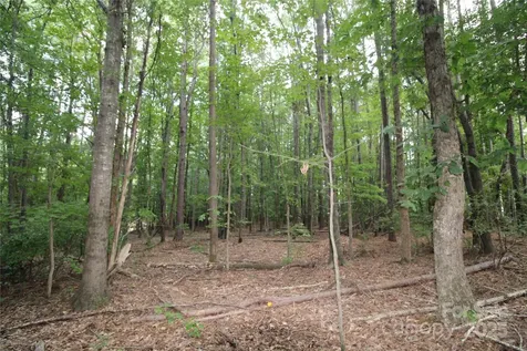 Lot 1 Lake Wylie Drive Rock Hill SC 29732