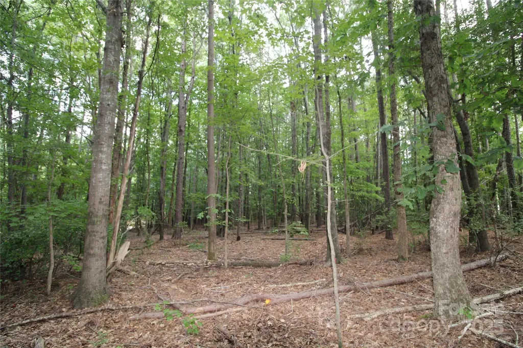 Lot 4 Lake Wylie Drive Rock Hill SC 29732