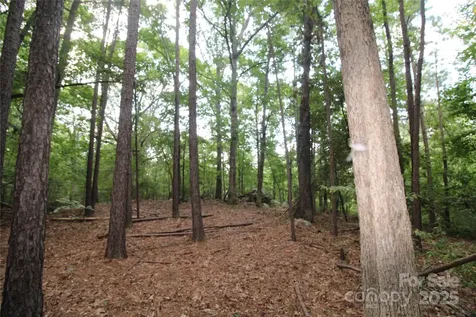 Lot 4 Lake Wylie Drive Rock Hill SC 29732