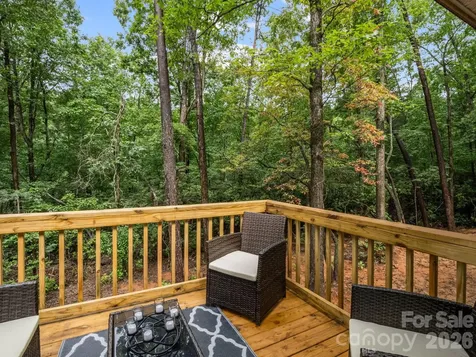 257 Roadrunner Circle Lake Lure NC 28746