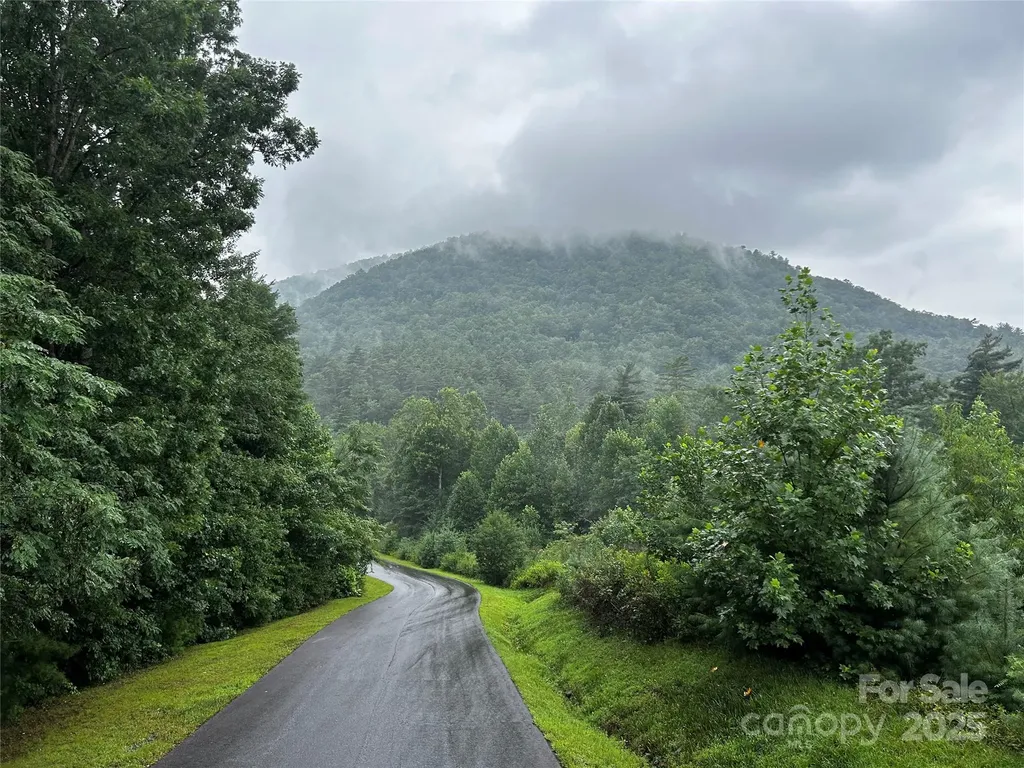 241(LOT 58) Peppervine Circle Rosman NC 28772