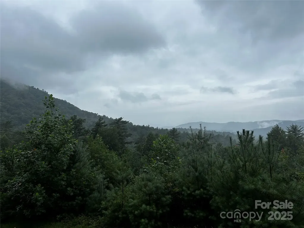 241(LOT 58) Peppervine Circle Rosman NC 28772