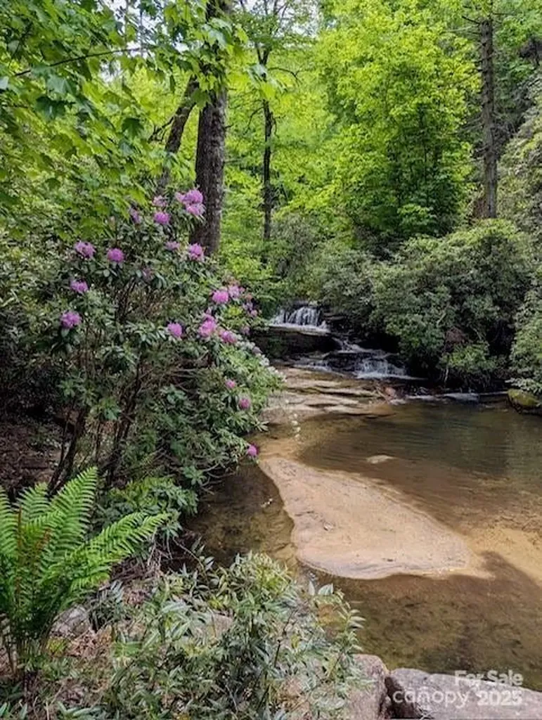 241(LOT 58) Peppervine Circle Rosman NC 28772