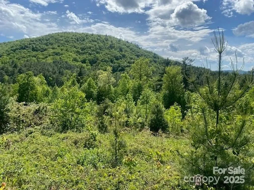 241(LOT 58) Peppervine Circle Rosman NC 28772