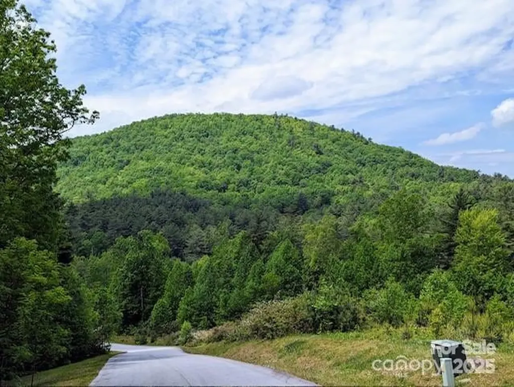 241(LOT 58) Peppervine Circle Rosman NC 28772