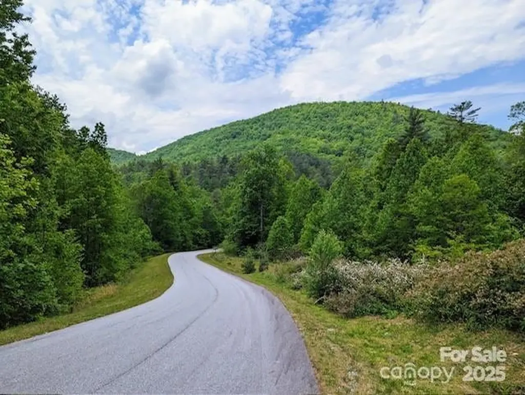 241(LOT 58) Peppervine Circle Rosman NC 28772