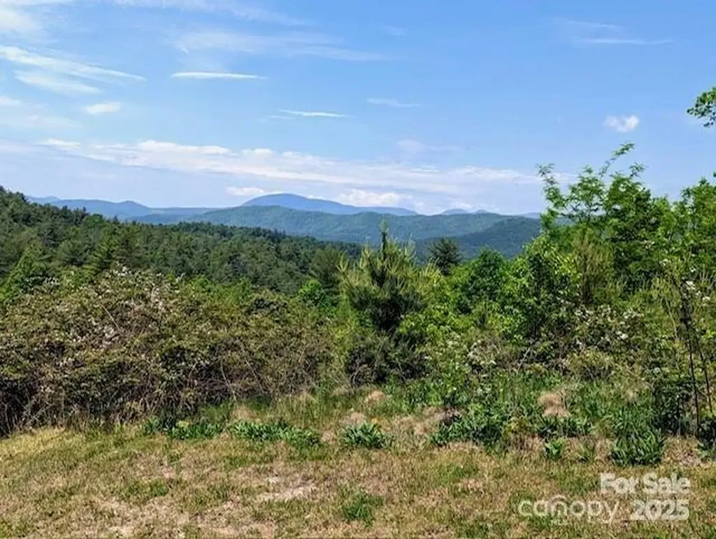 241(LOT 58) Peppervine Circle Rosman NC 28772