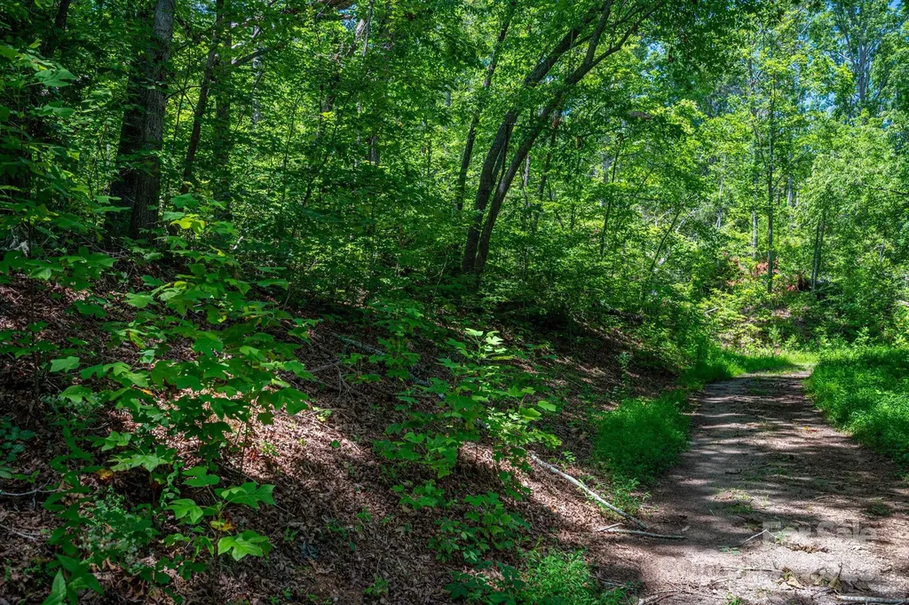 Lot 221 Plantation Drive Rutherfordton NC 28139