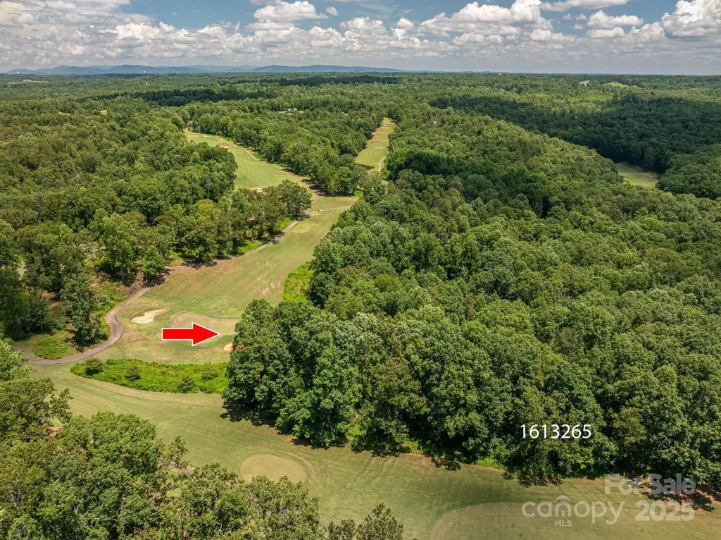 Lot 219 Plantation Drive Rutherfordton NC 28139