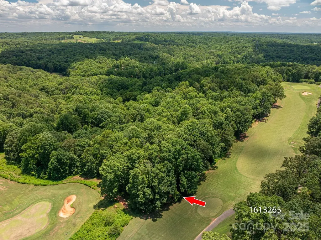 Lot 219 Plantation Drive Rutherfordton NC 28139