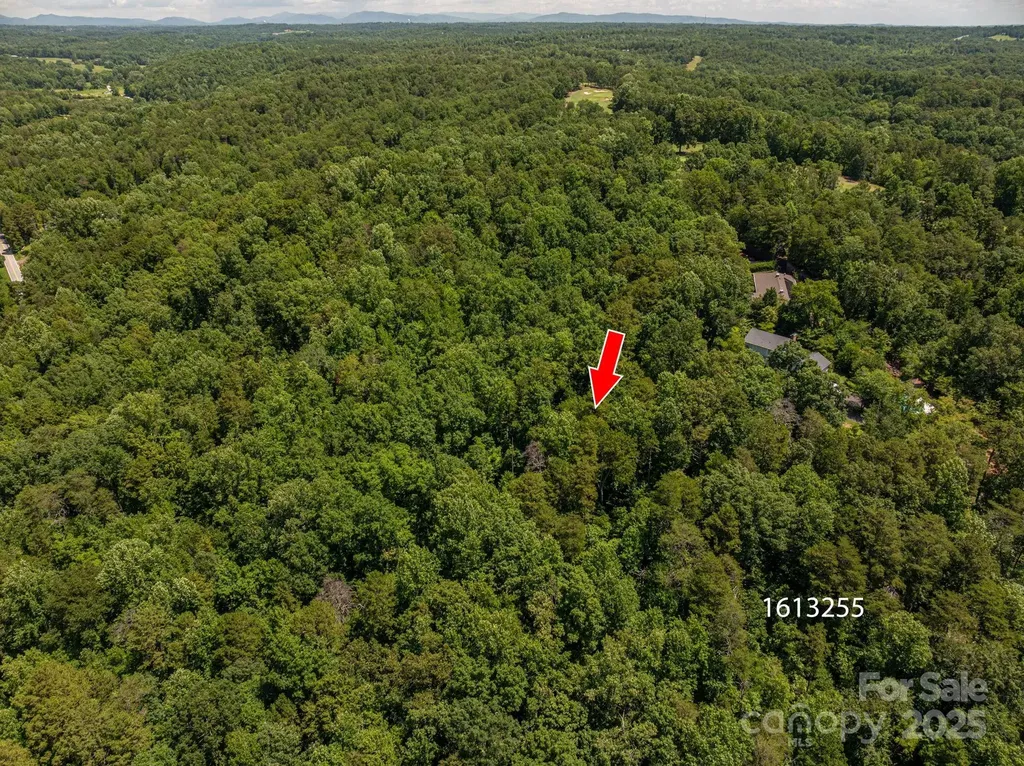 Lot 167 Plantation Drive Rutherfordton NC 28139