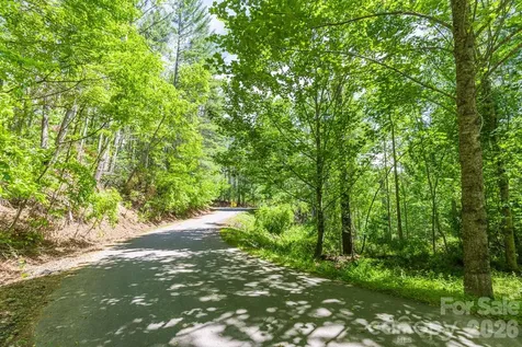 9999 River Edge Drive Burnsville NC 28714