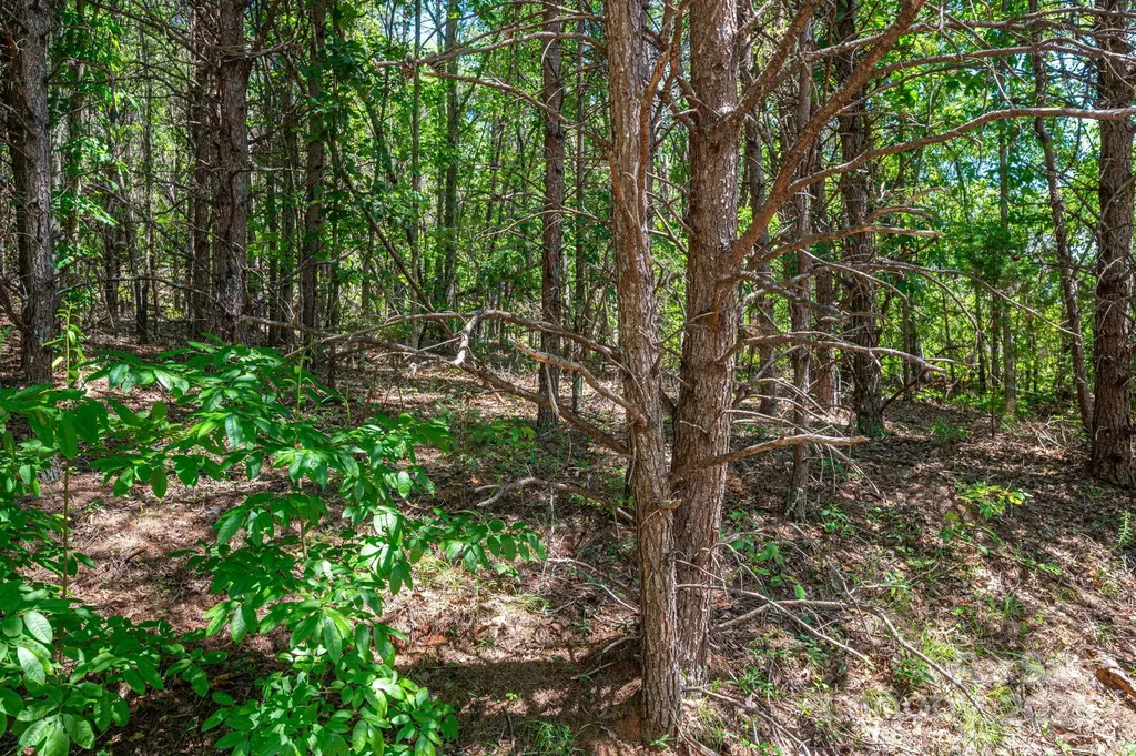 Lot 12 Meadow Crossing Drive Rutherfordton NC 28139