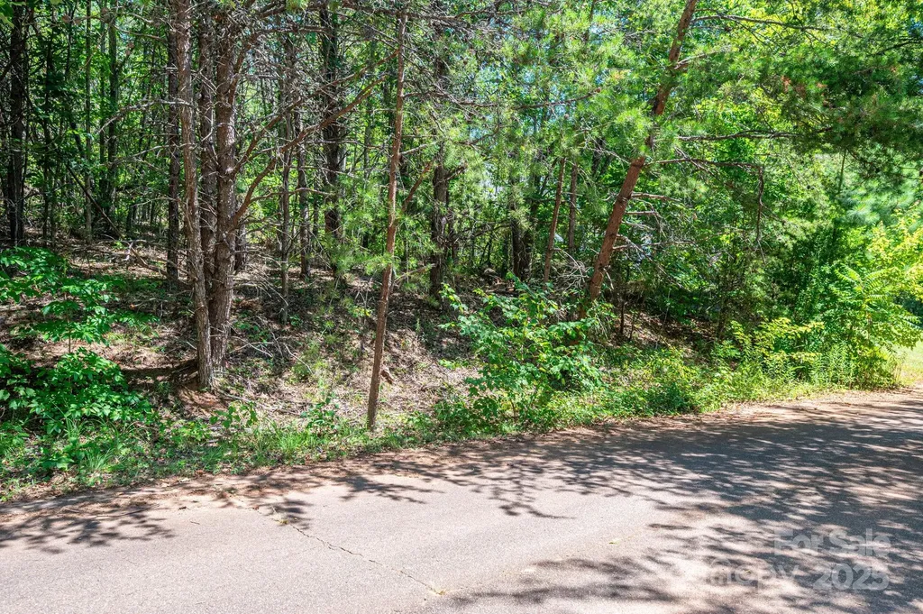 Lot 12 Meadow Crossing Drive Rutherfordton NC 28139
