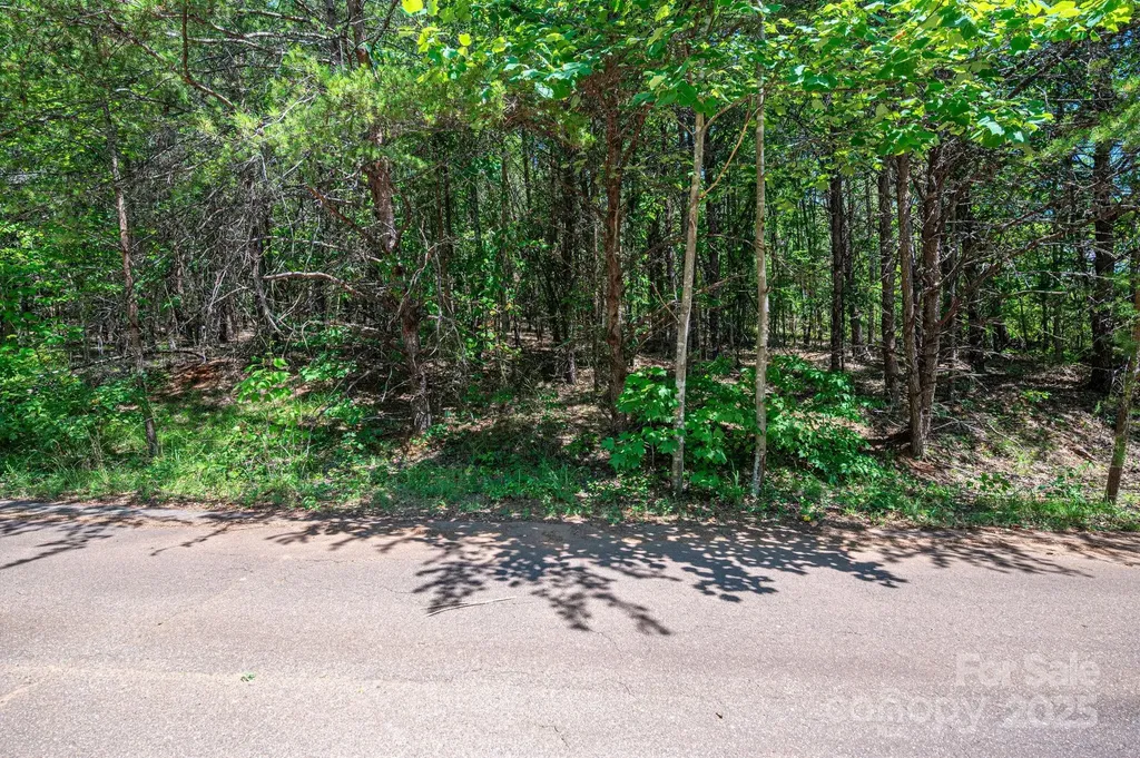 Lot 12 Meadow Crossing Drive Rutherfordton NC 28139