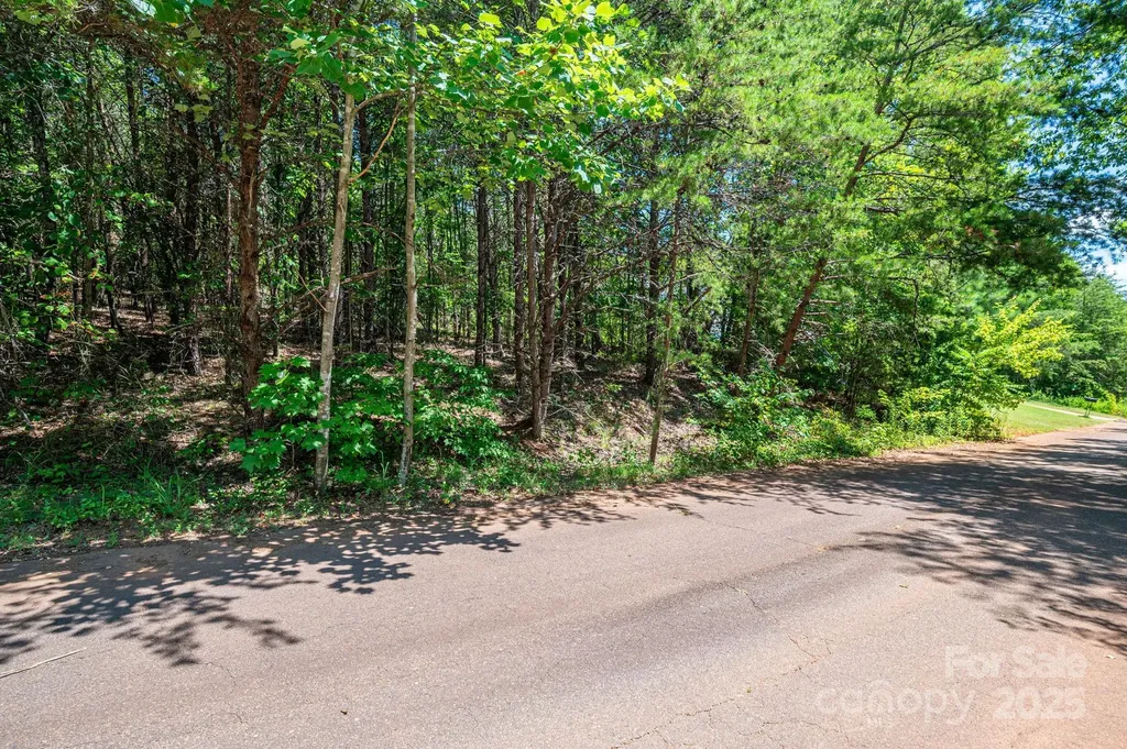 Lot 12 Meadow Crossing Drive Rutherfordton NC 28139