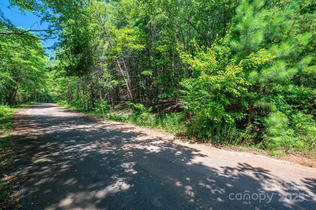 Lot 12 Meadow Crossing Drive Rutherfordton NC 28139