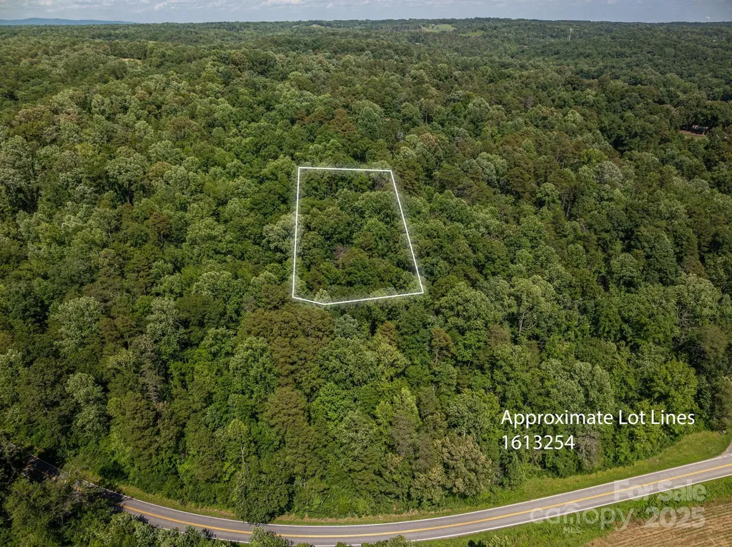 Lot 166 Plantation Drive Rutherfordton NC 28139
