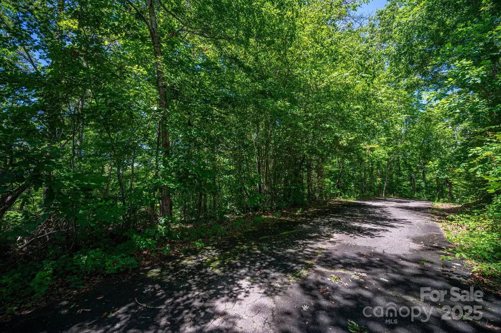 Lot 166 Plantation Drive Rutherfordton NC 28139