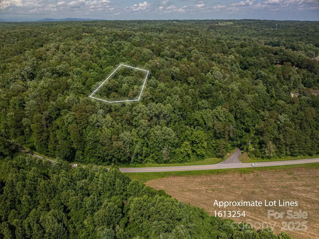 Lot 166 Plantation Drive Rutherfordton NC 28139